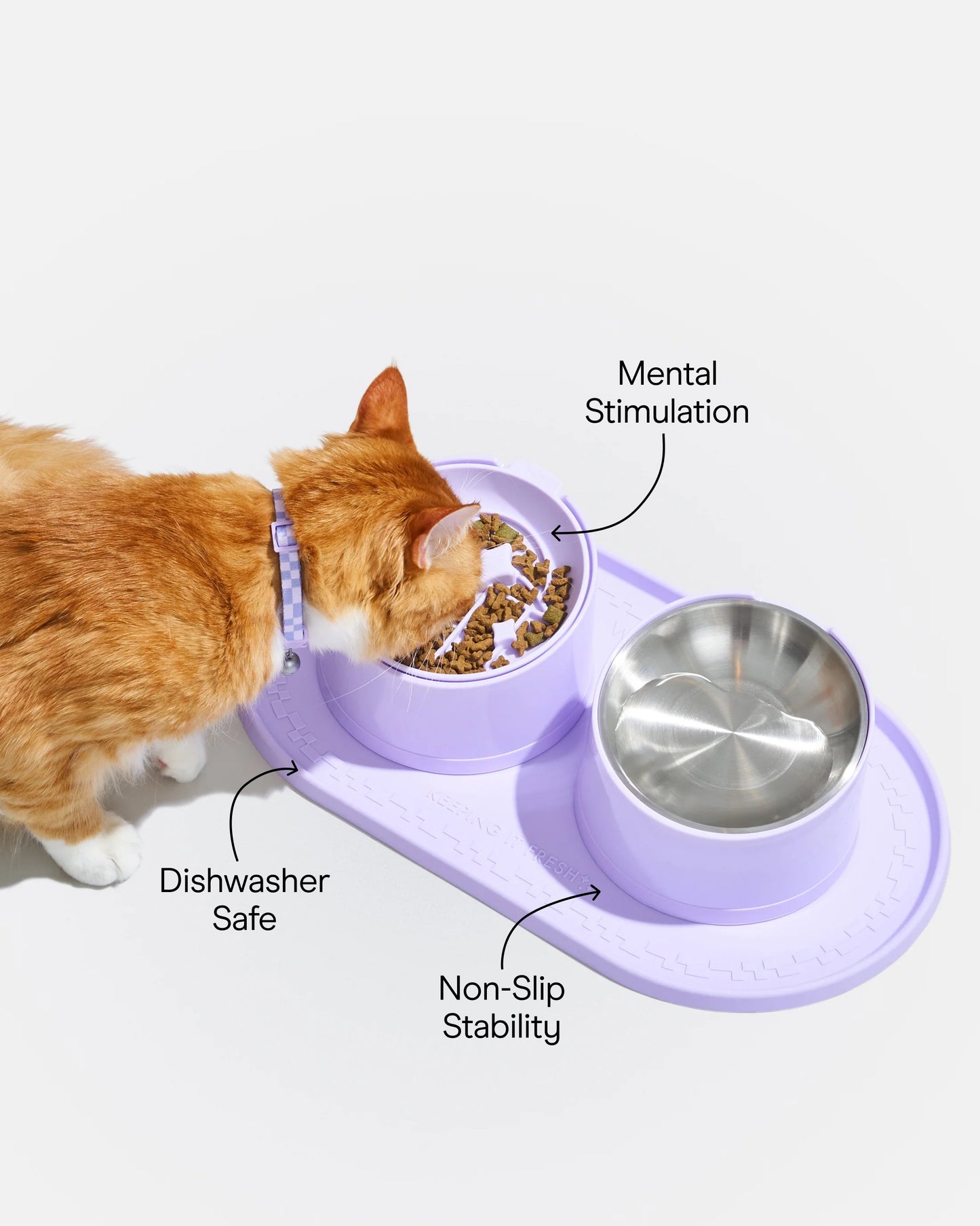 Cat Bolster Bed