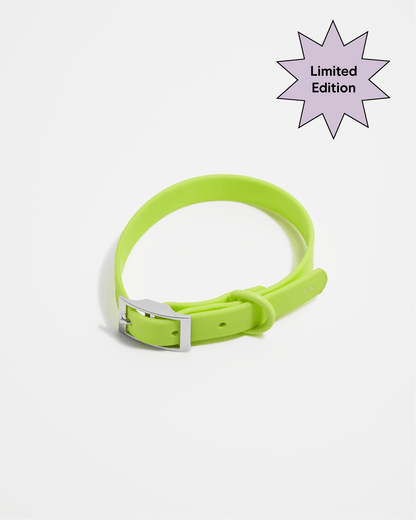 Waterproof Dog Collar