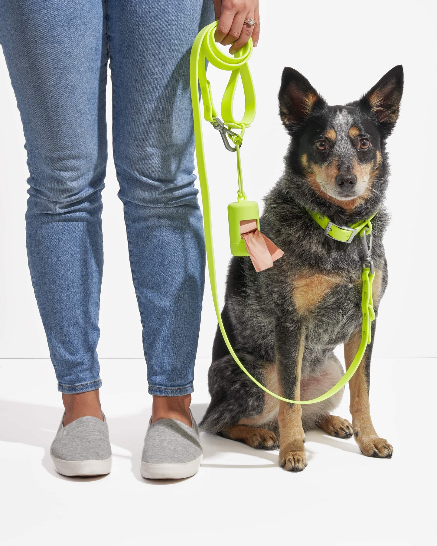 Waterproof Dog Collar