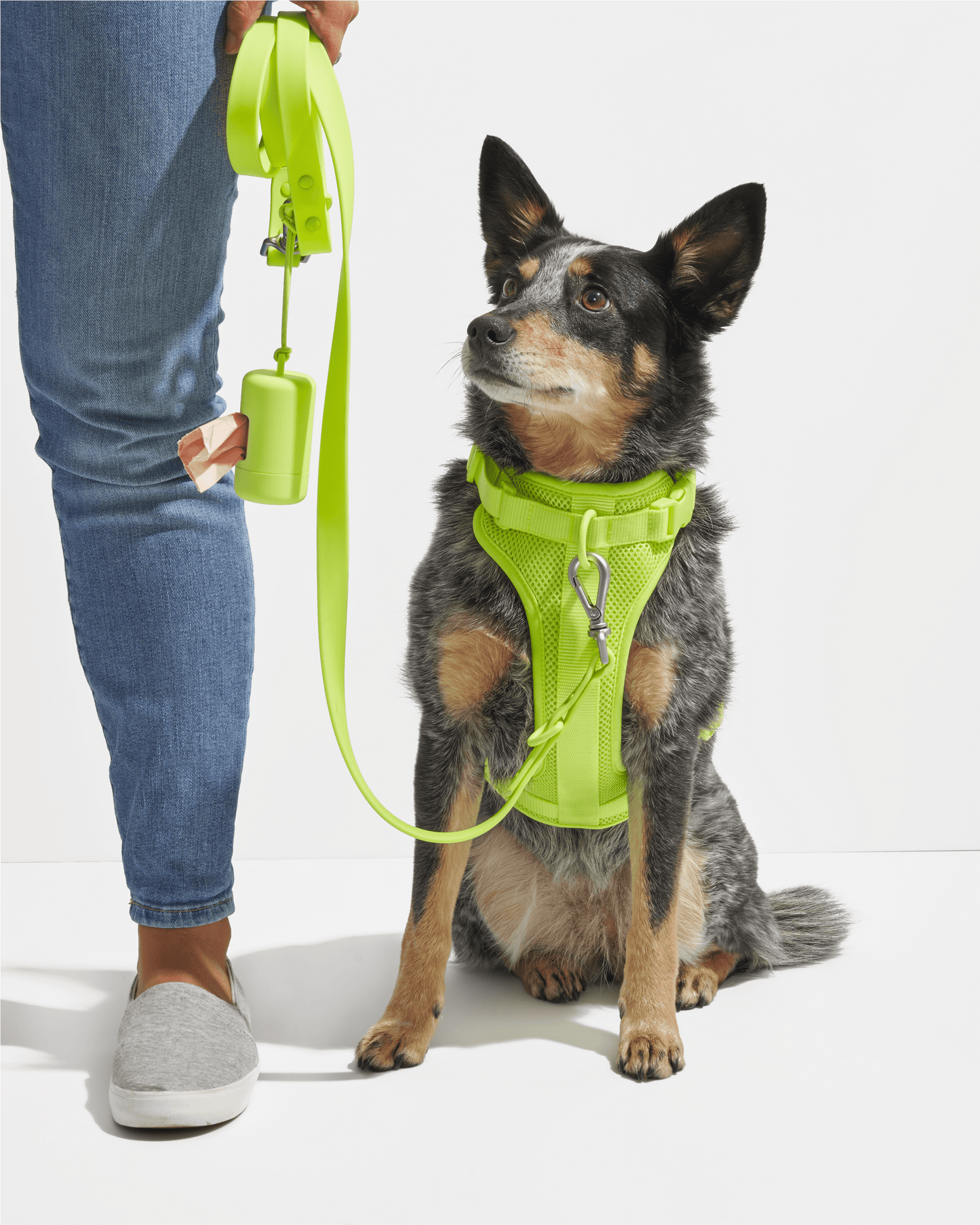 Waterproof Dog Leash