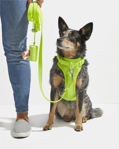 Waterproof Dog Leash