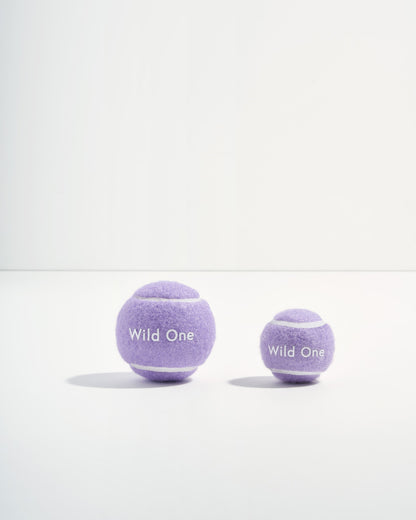 Tennis Balls 4-Pack