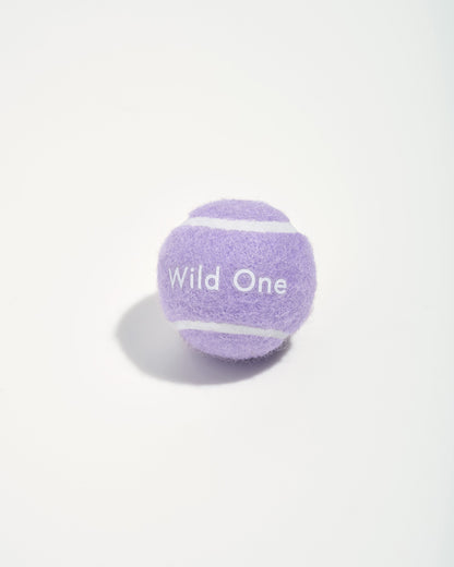 Tennis Balls 4-Pack