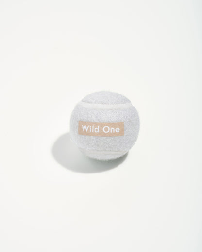 Tennis Balls 4-Pack