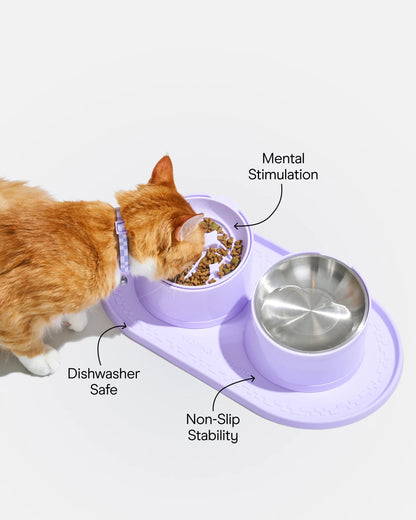 Cat Meal Kit