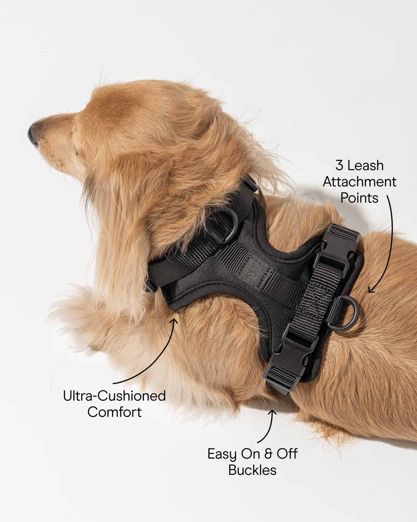 Cushioned Dog Harness