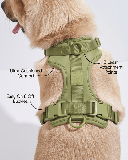 Cushioned Dog Harness