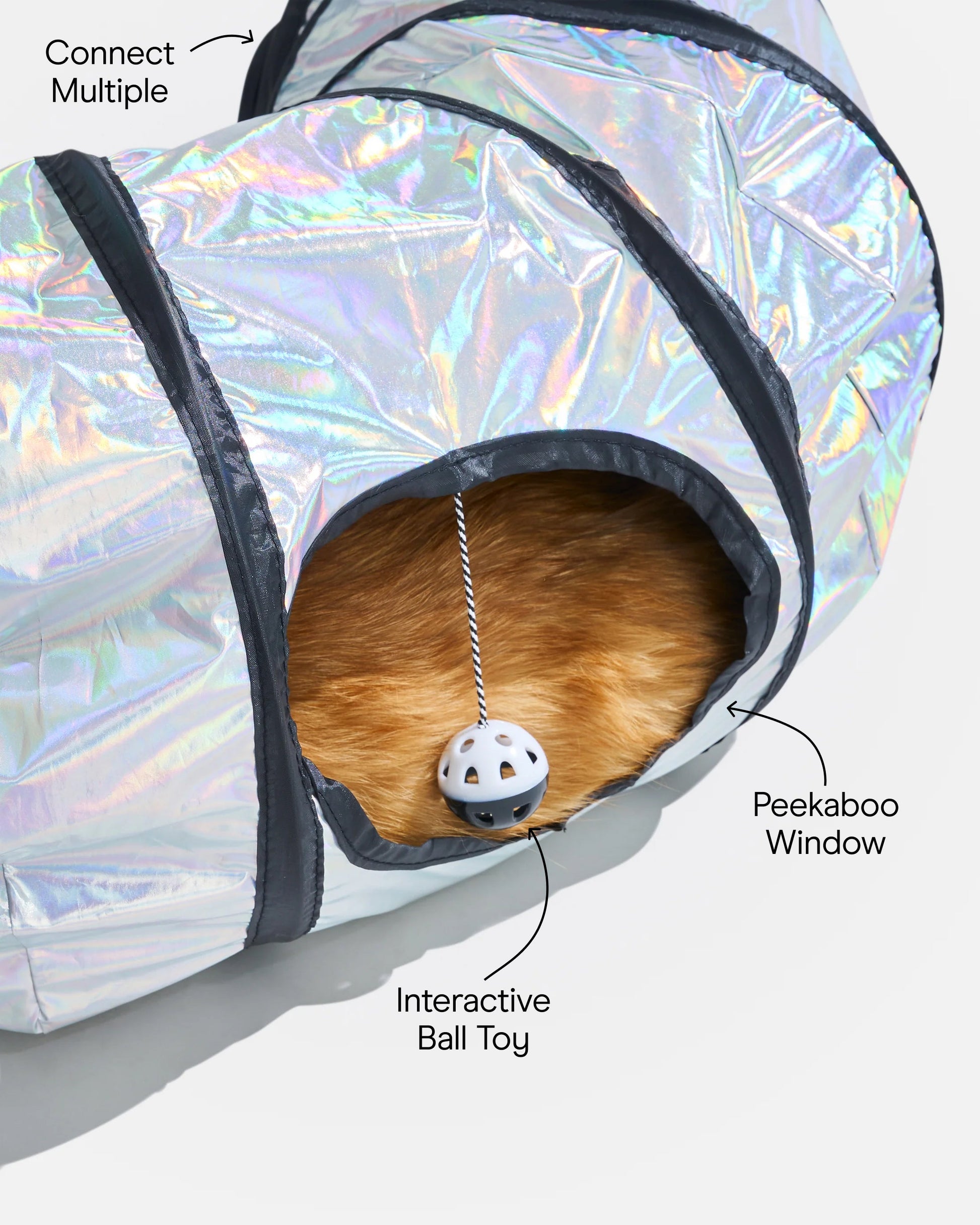Cat Tunnel