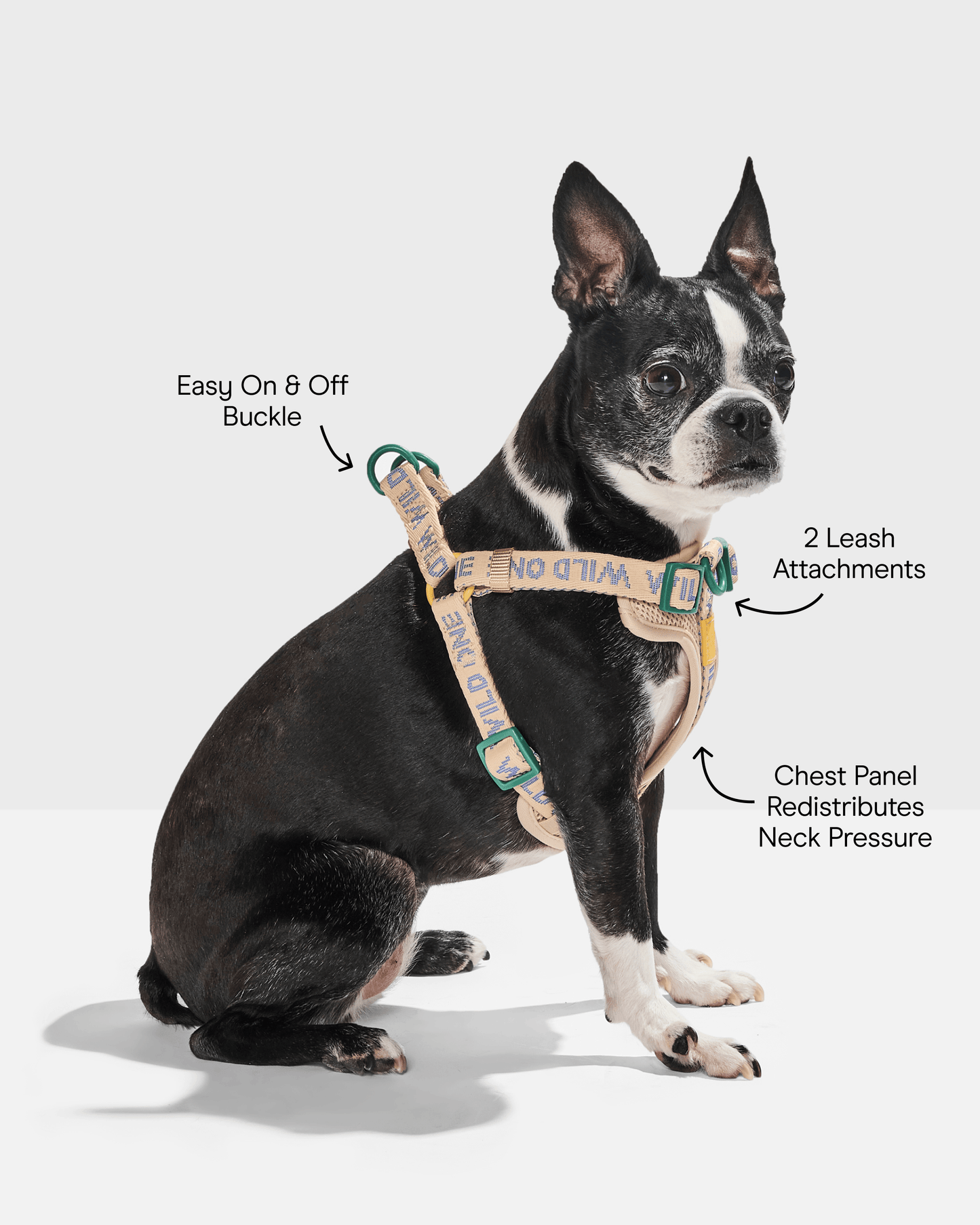 Step-In Dog Harness