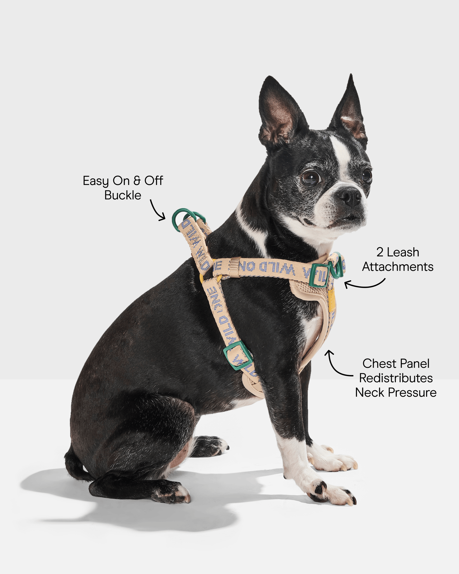 Step-In Dog Harness
