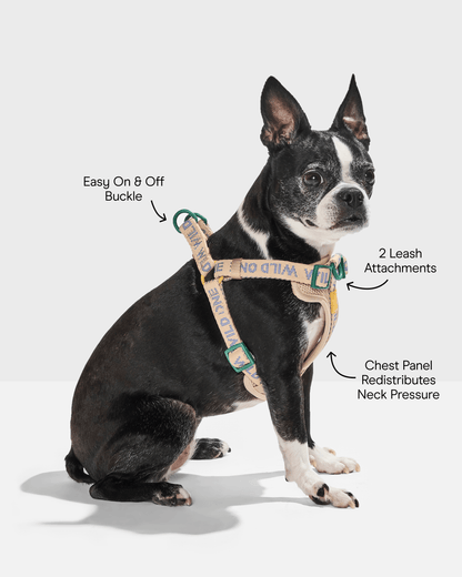 Step-In Dog Harness