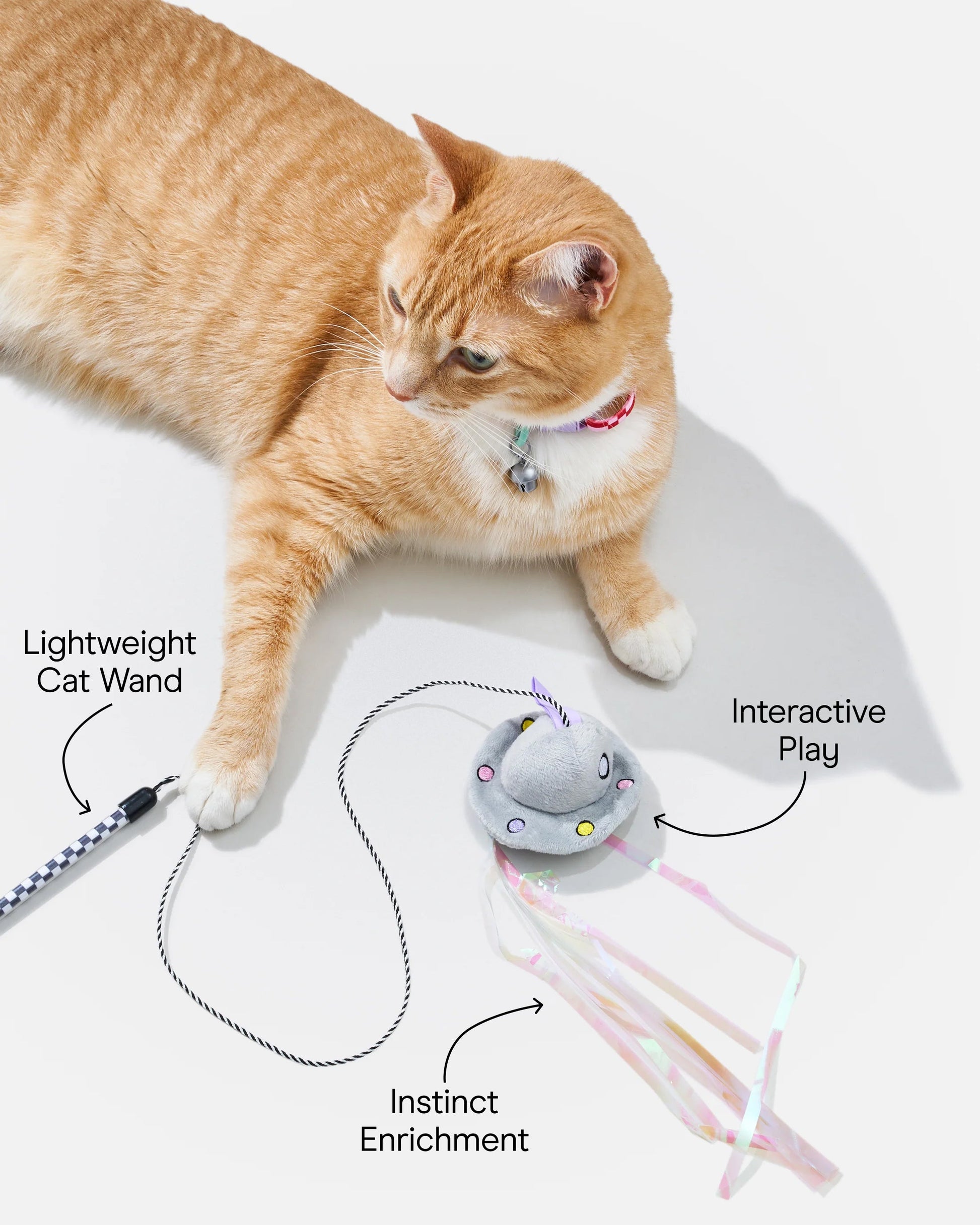 Cat Wild Wand