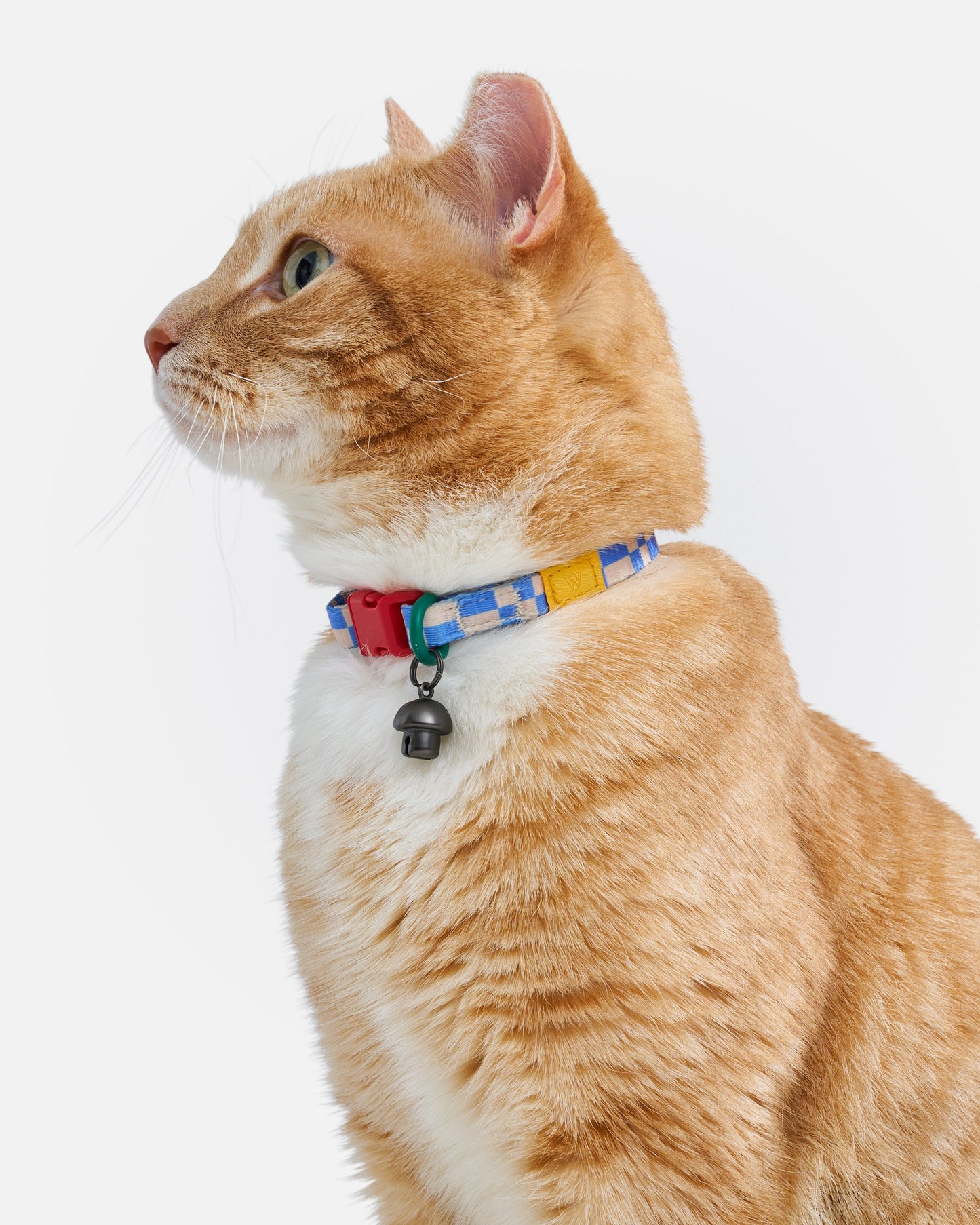 Breakaway Cat Collar