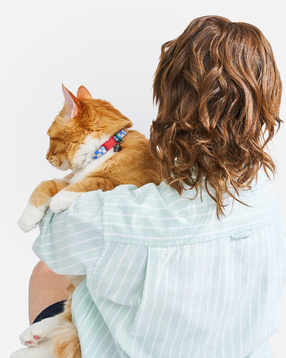 Breakaway Cat Collar