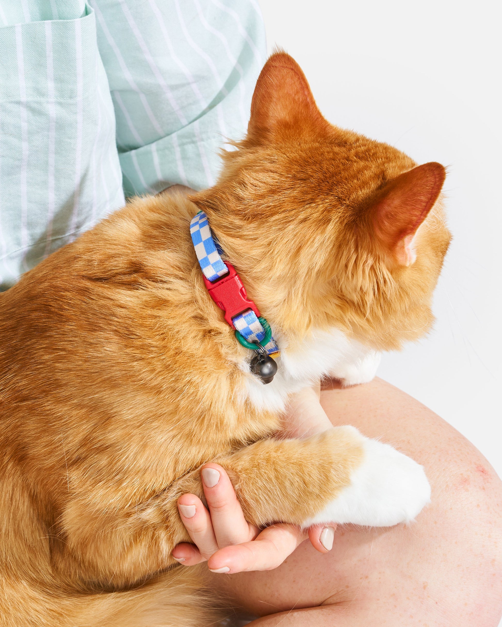 Breakaway Cat Collar