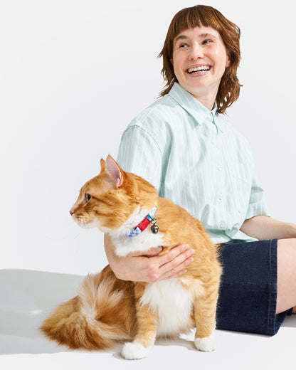 Breakaway Cat Collar