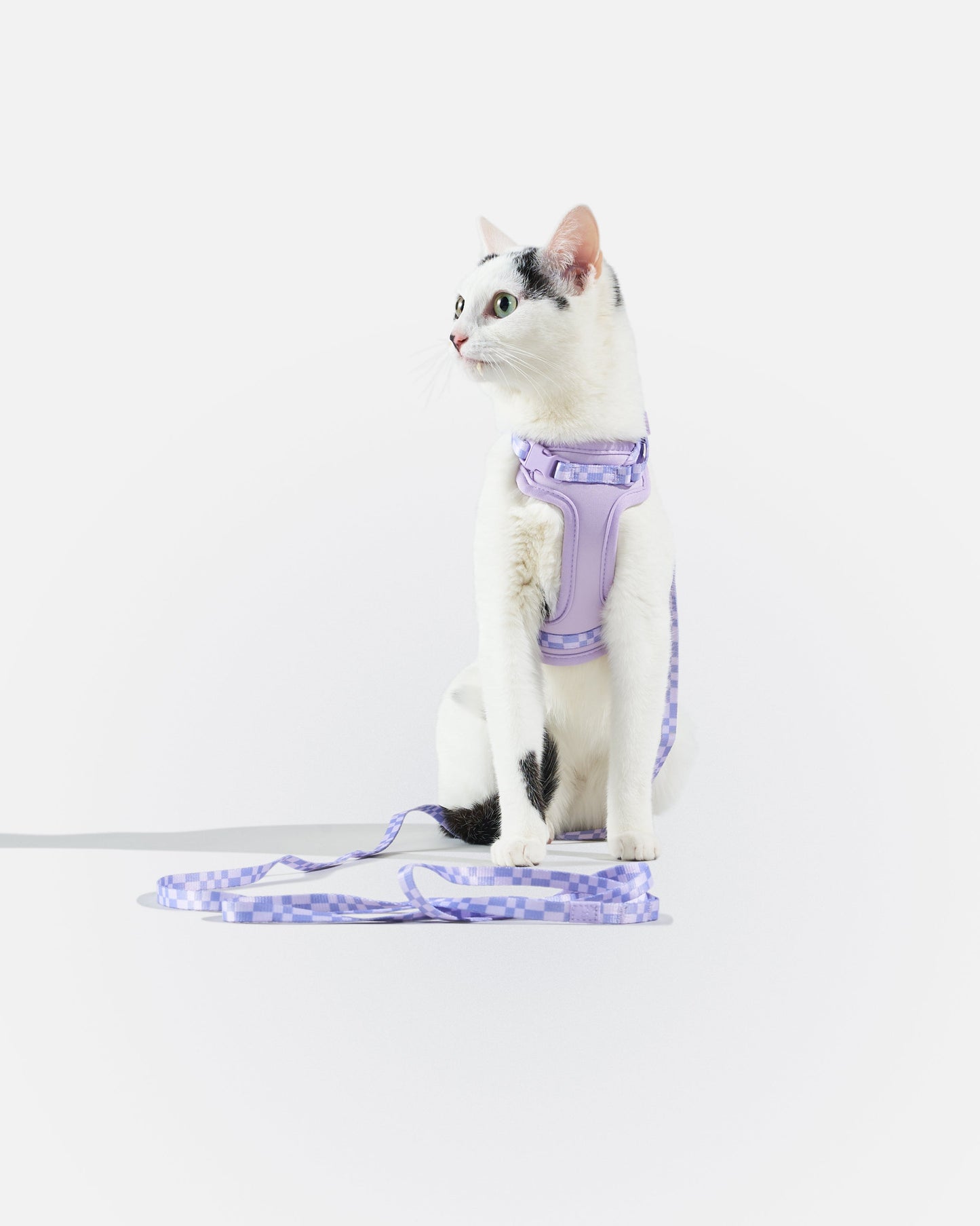 Cat Harness & Leash