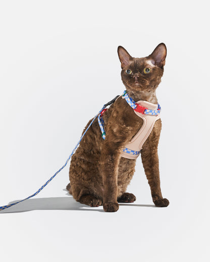 Cat Harness & Leash