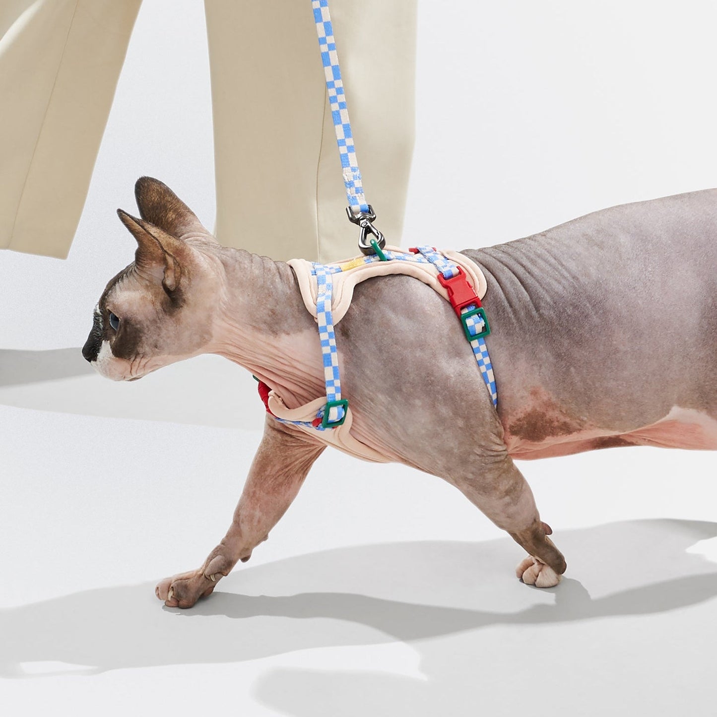 Cat Harness & Leash
