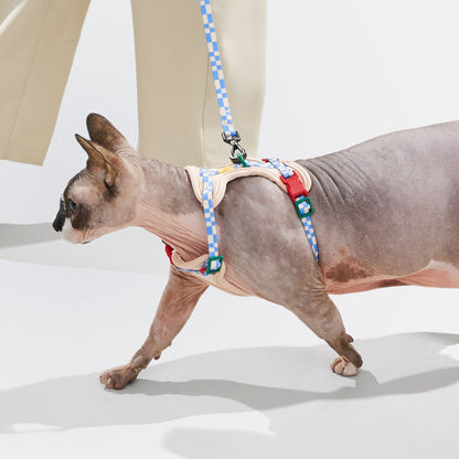 Cat Harness & Leash