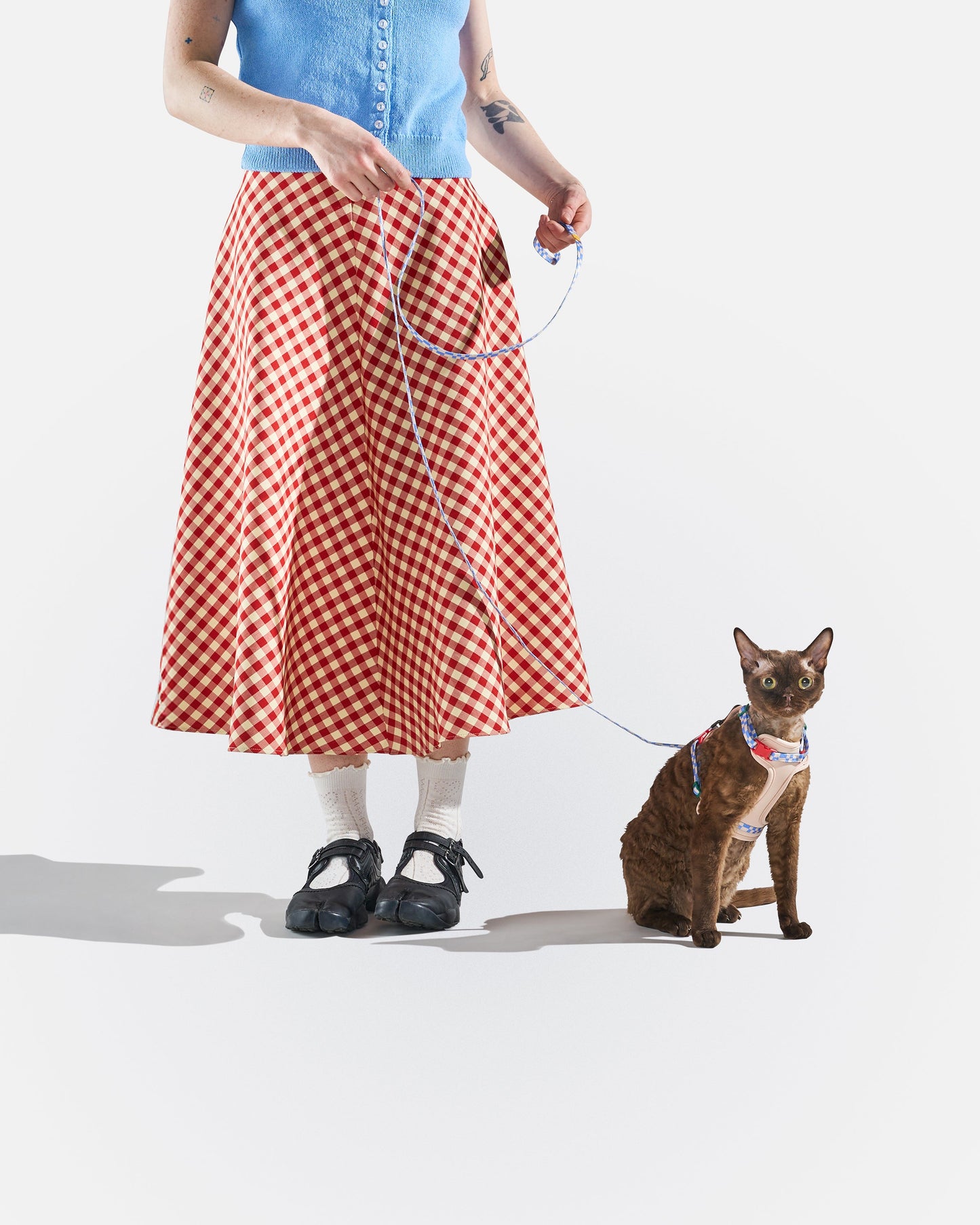 Cat Harness & Leash