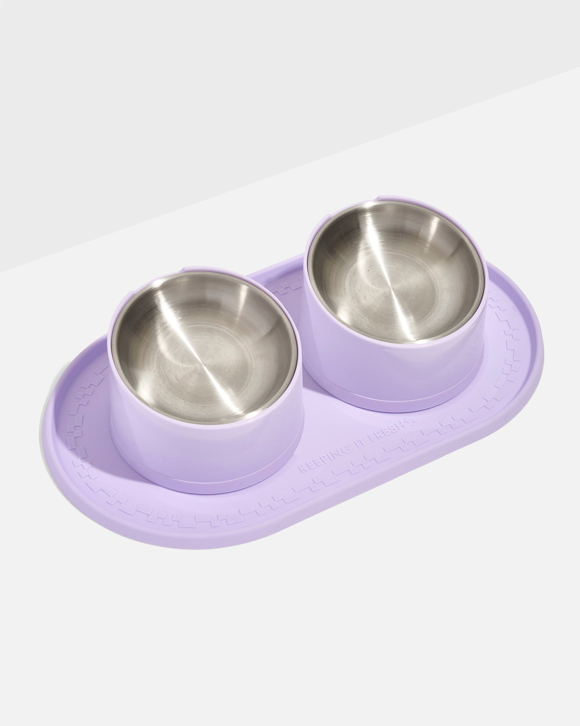 Cat Meal Kit