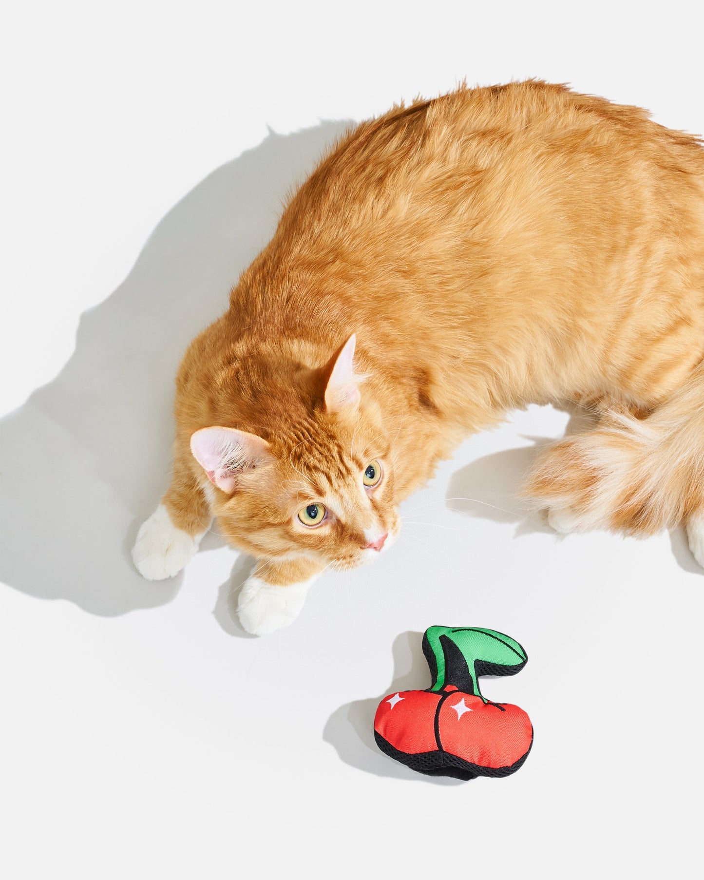 Playful Plush Cat Toy