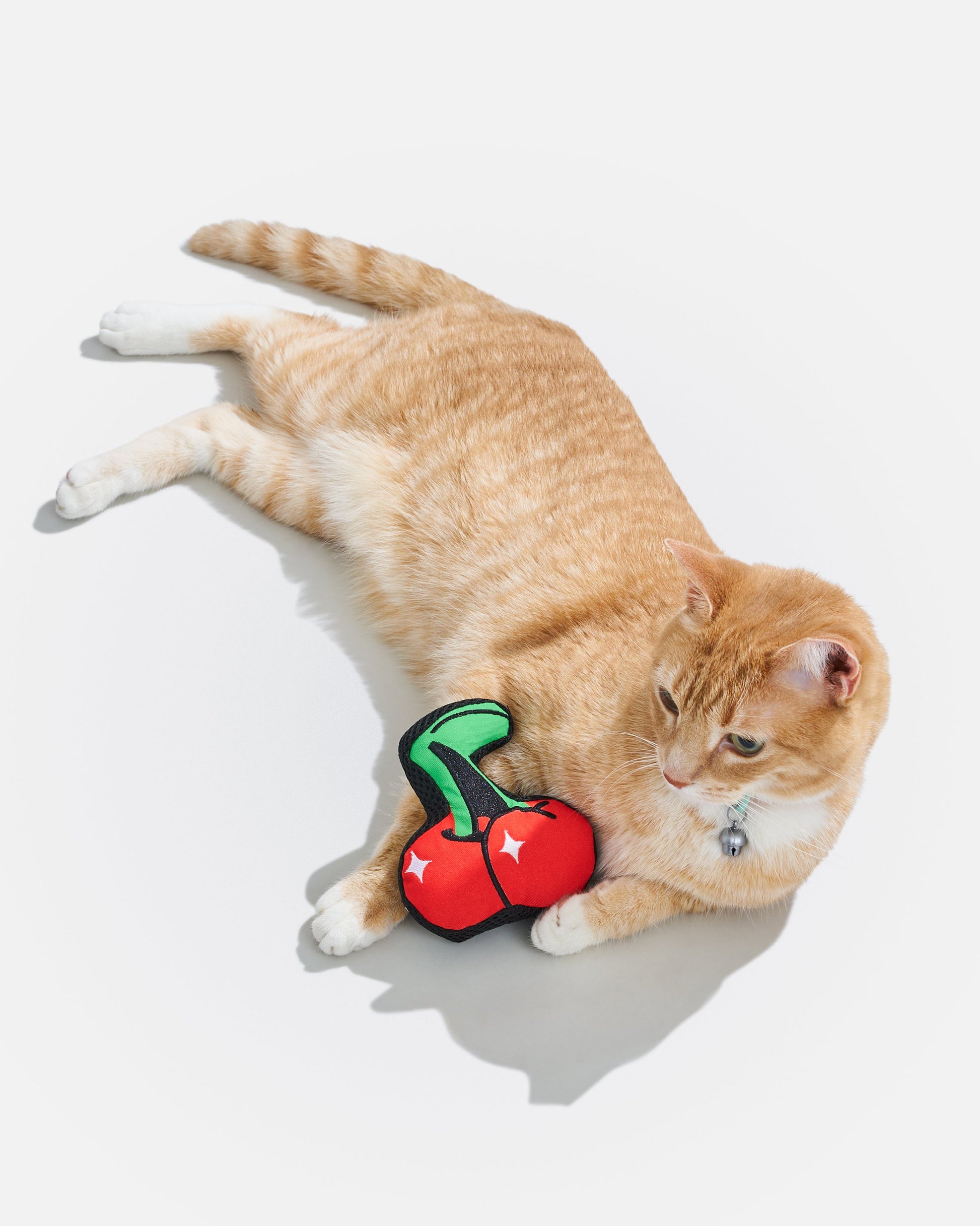 Playful Plush Cat Toy