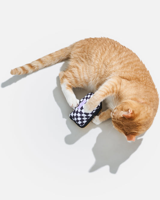 Playful Plush Cat Toy