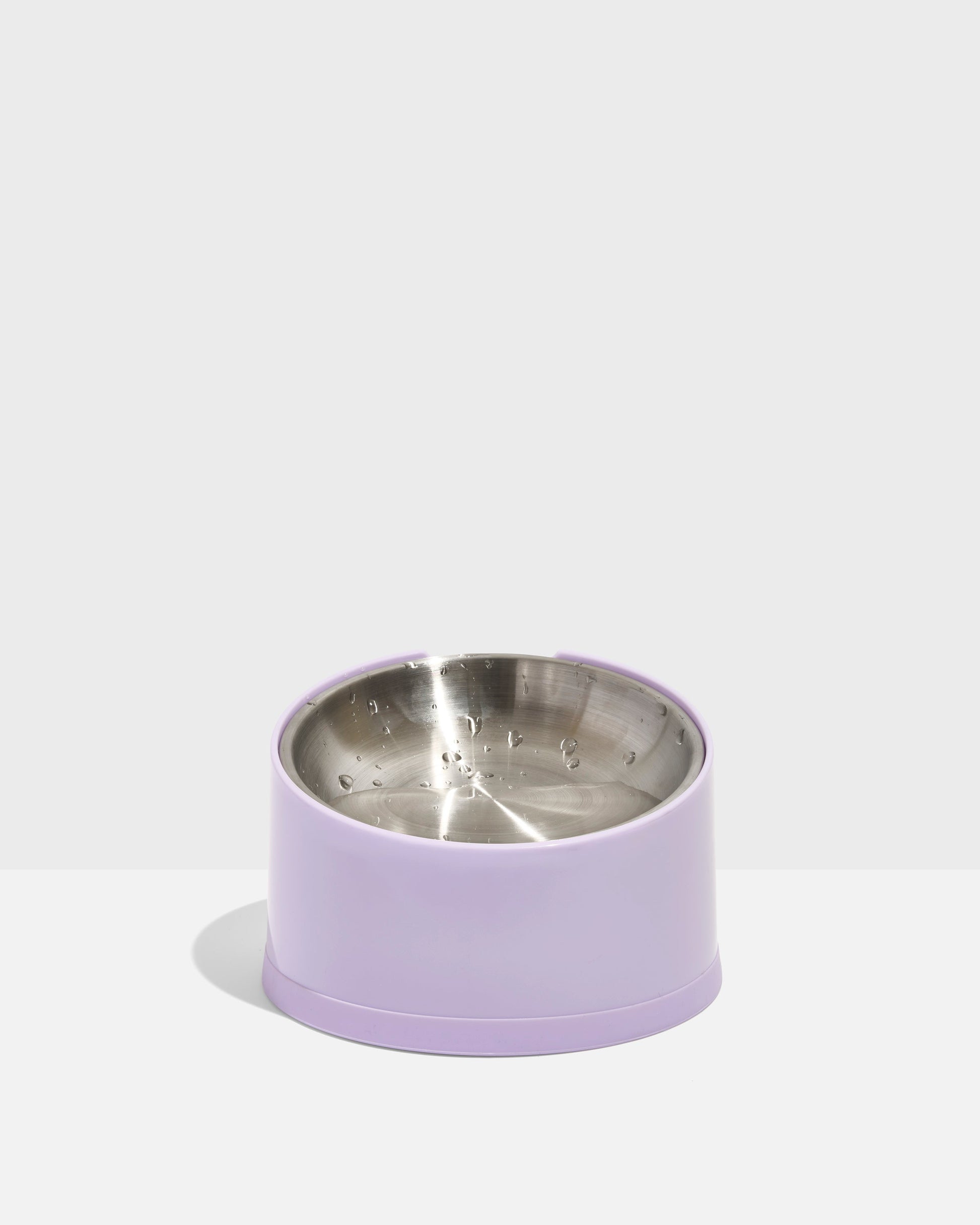 Slanted Cat Bowl