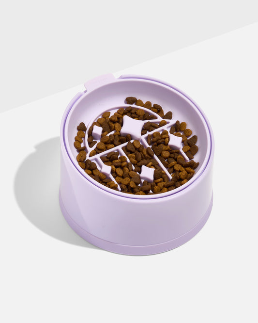 Cat Slow Feeder