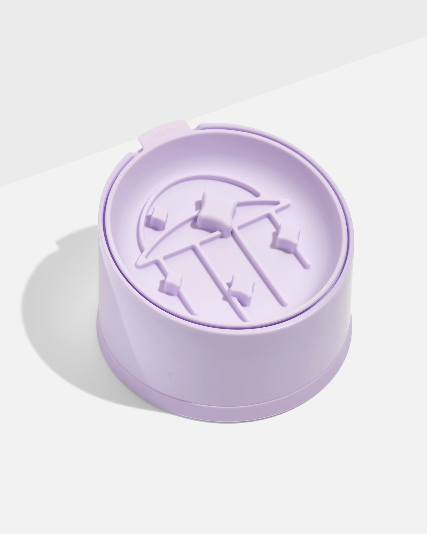 Cat Slow Feeder