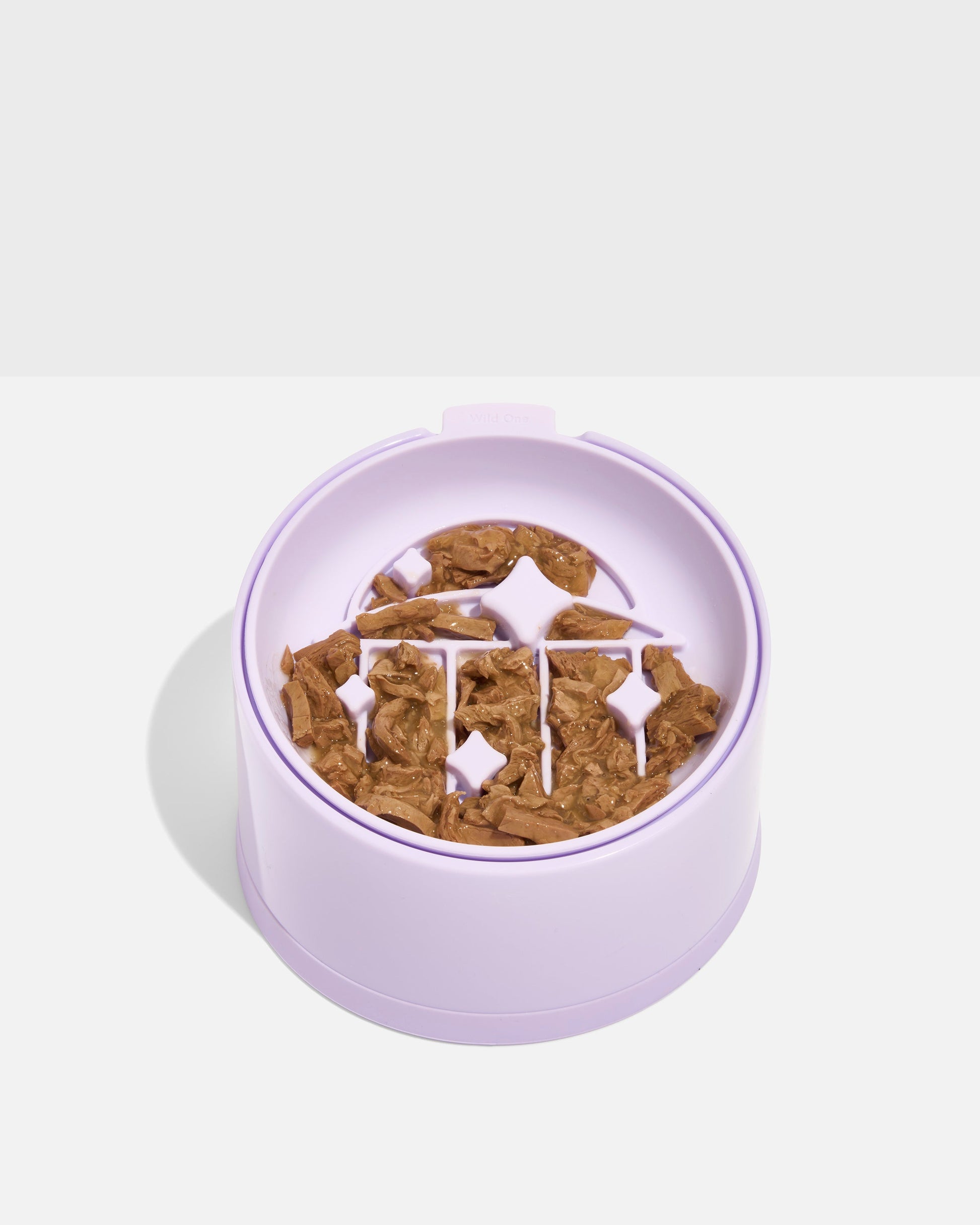 Cat Slow Feeder