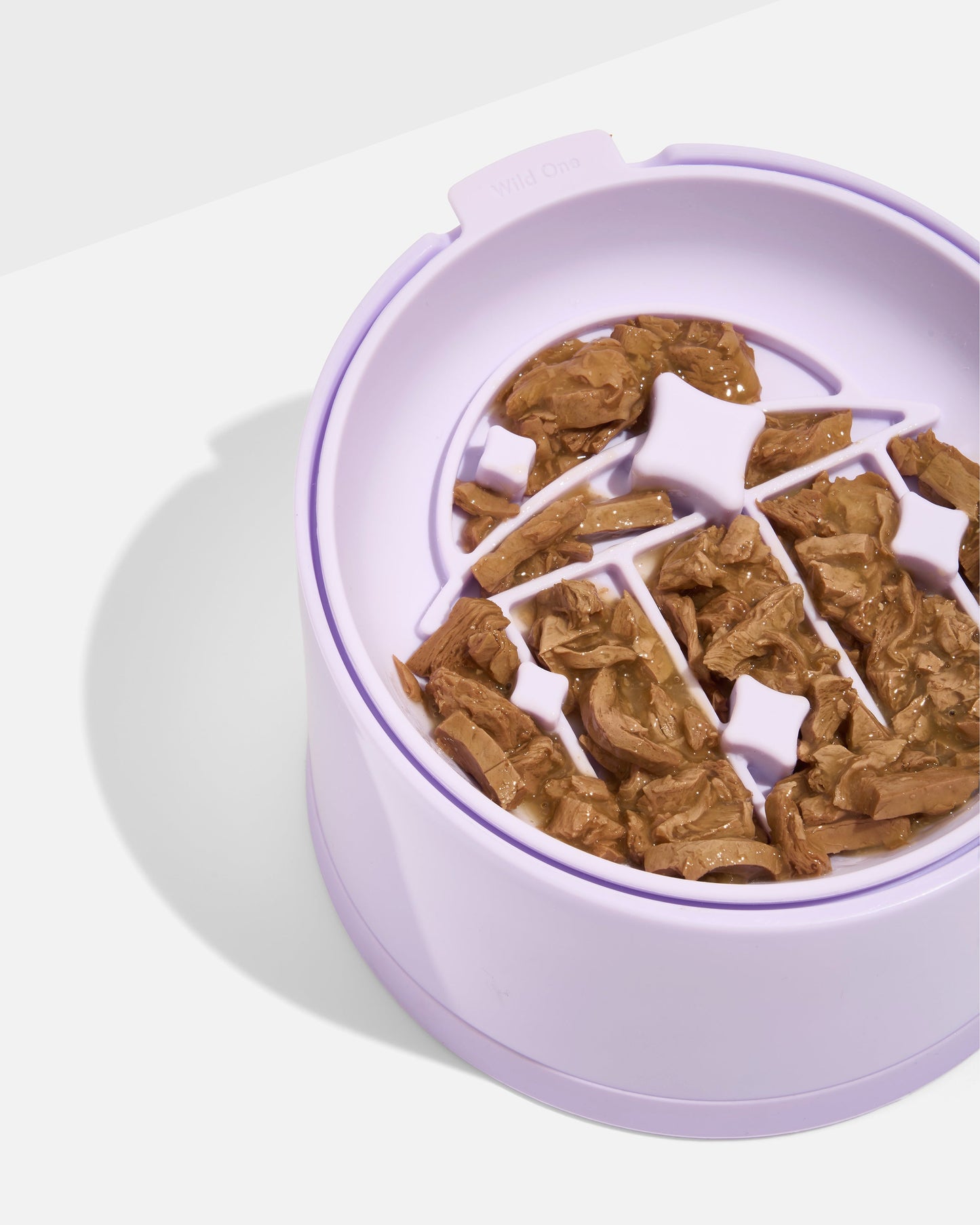 Cat Slow Feeder