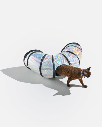 Cat Tunnel