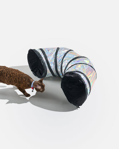Cat Tunnel