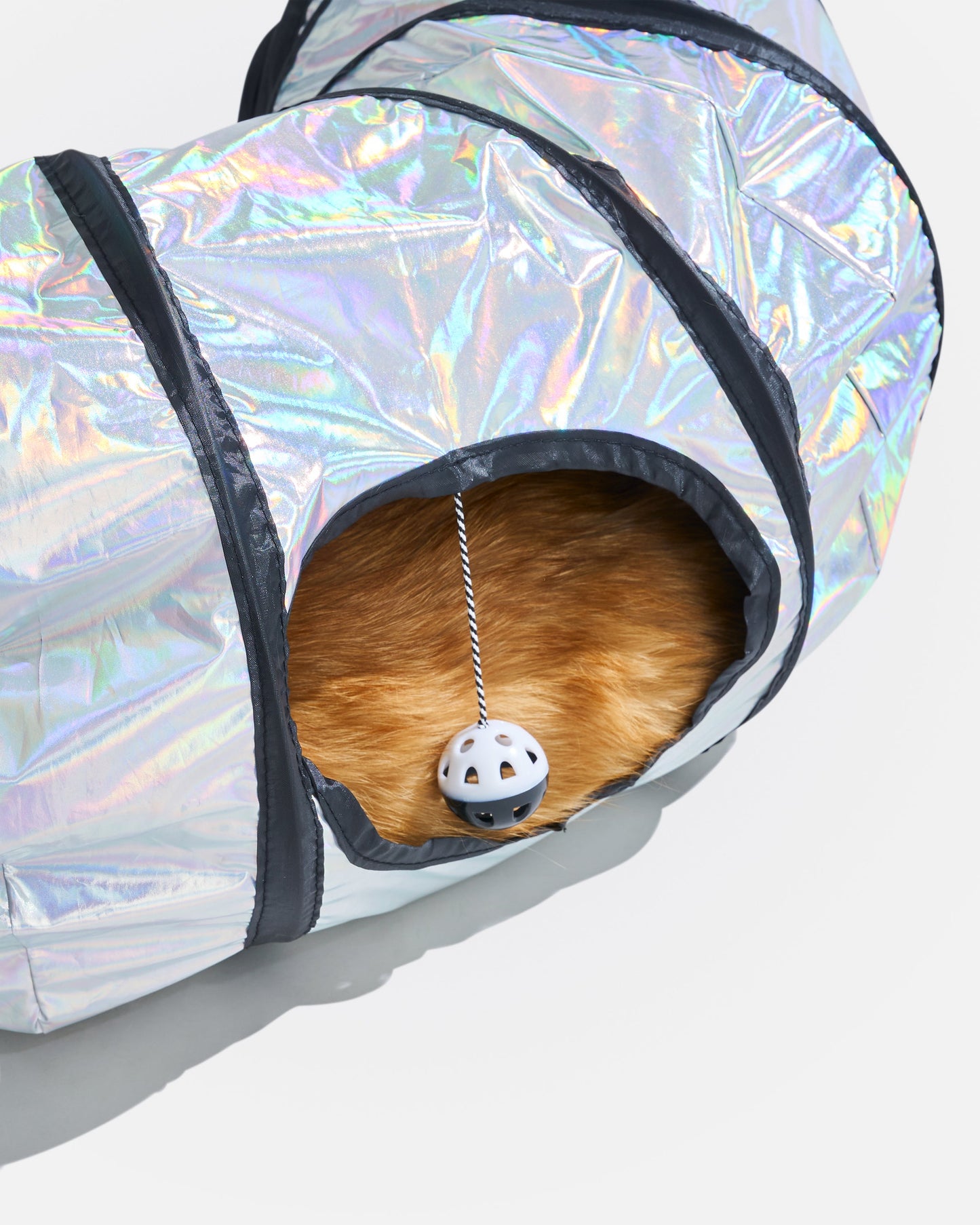 Cat Tunnel