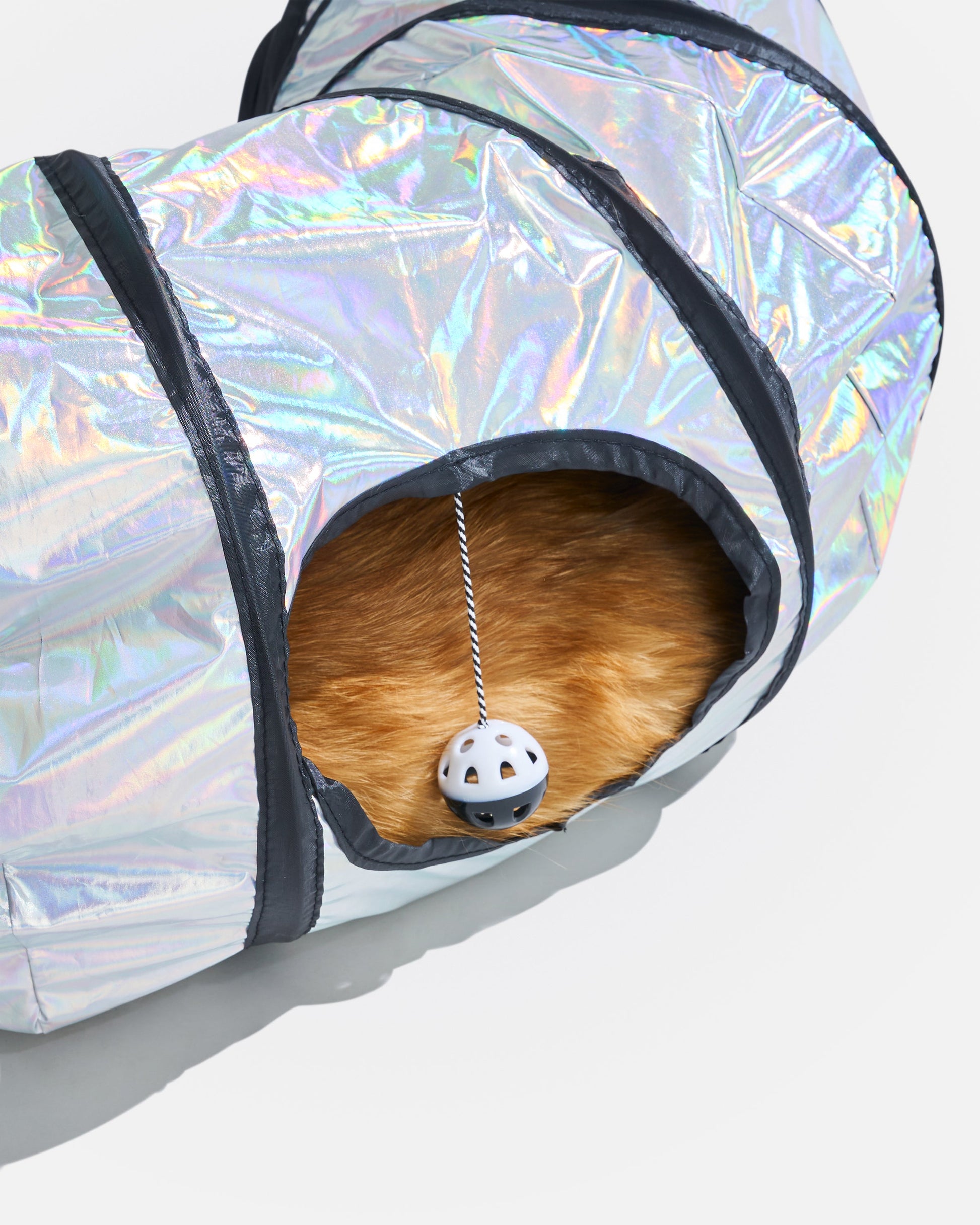 Cat Tunnel