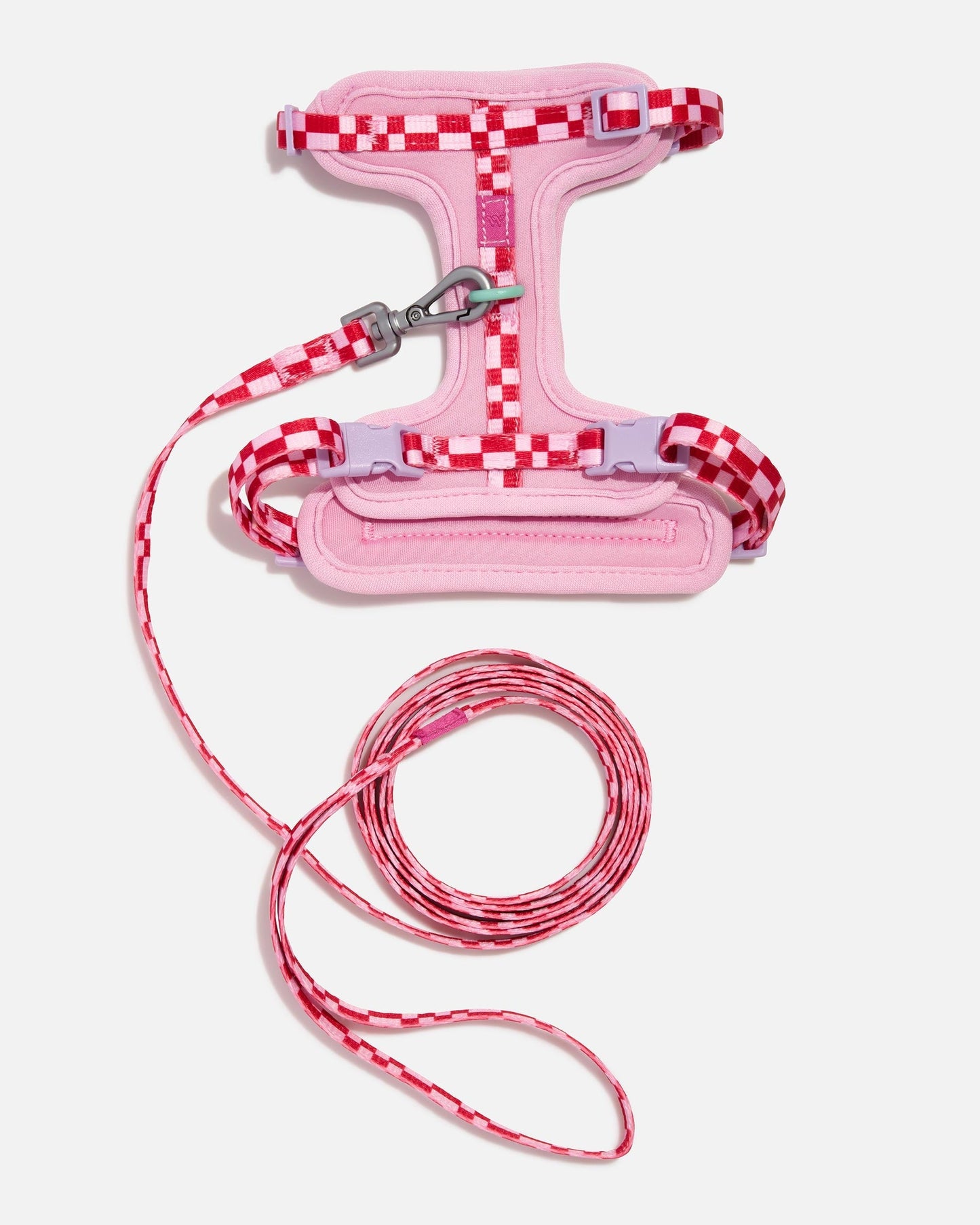Cat Harness & Leash