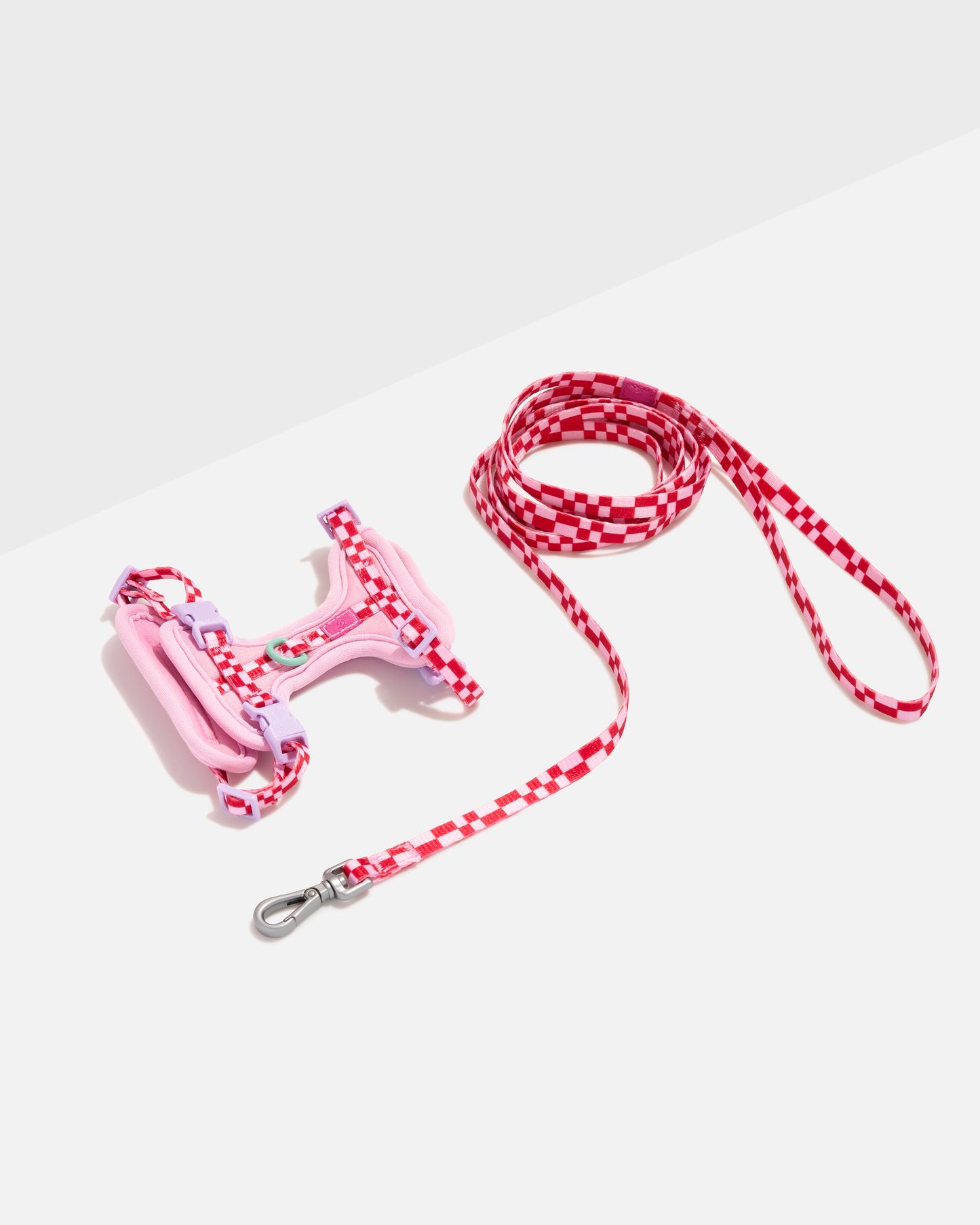 Cat Harness & Leash