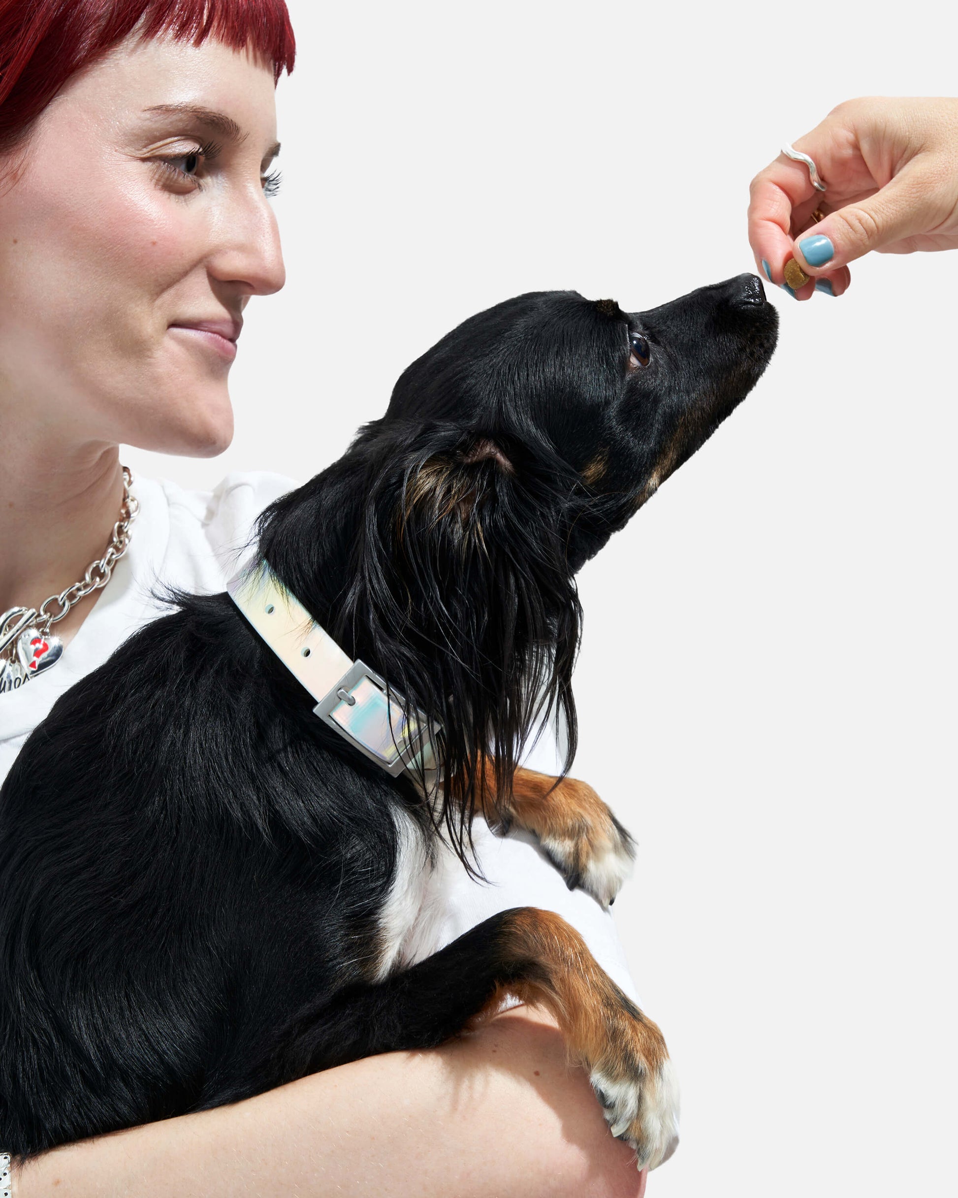 Waterproof Dog Collar