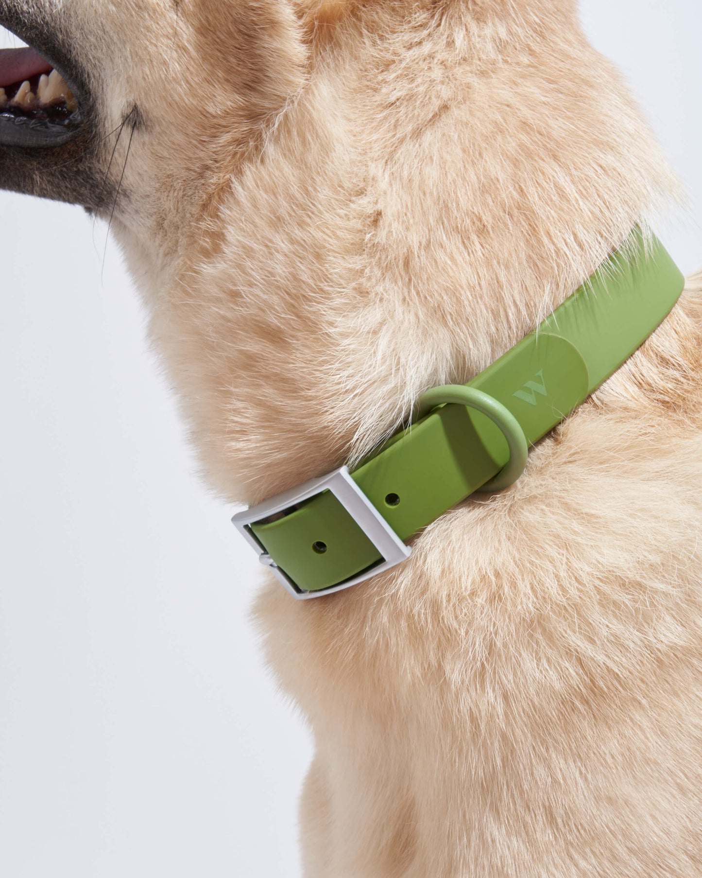 Waterproof Dog Collar