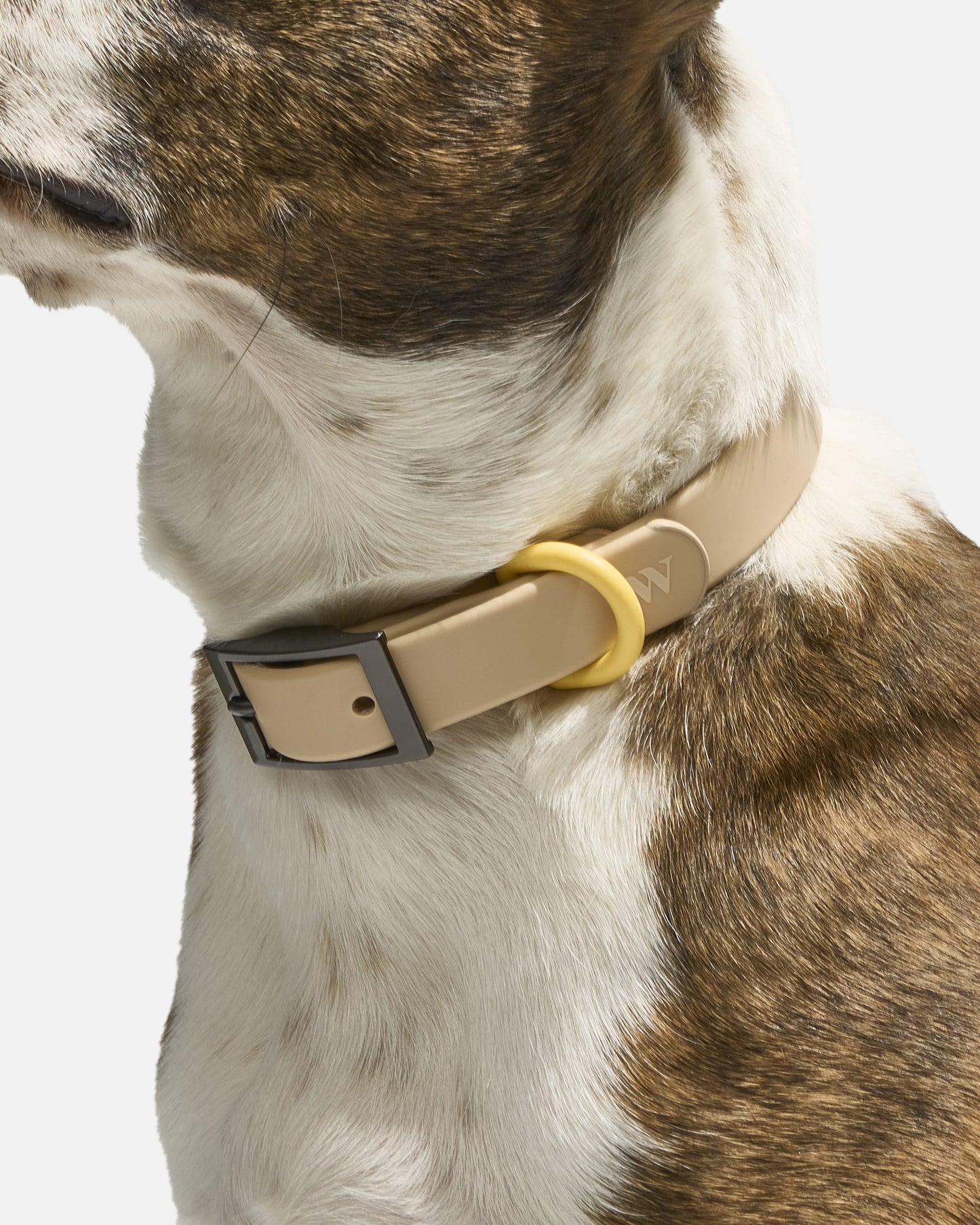 Waterproof Dog Collar