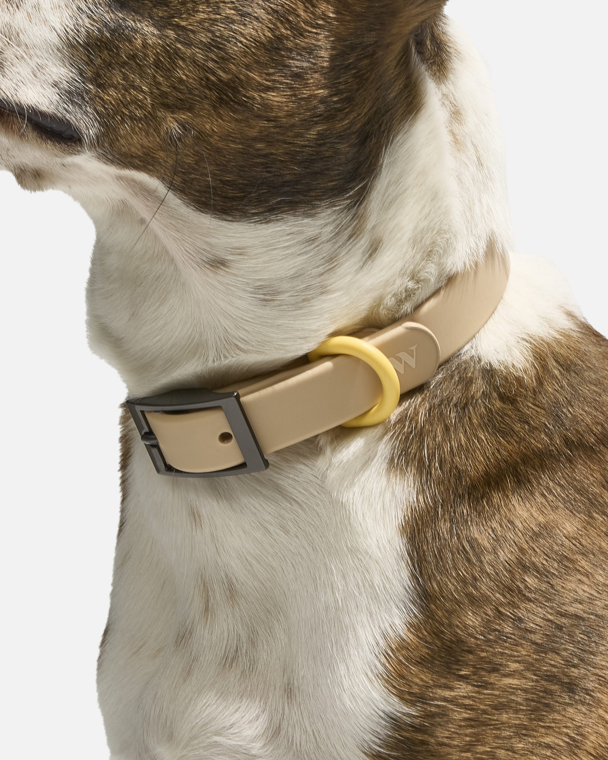 Waterproof Dog Collar
