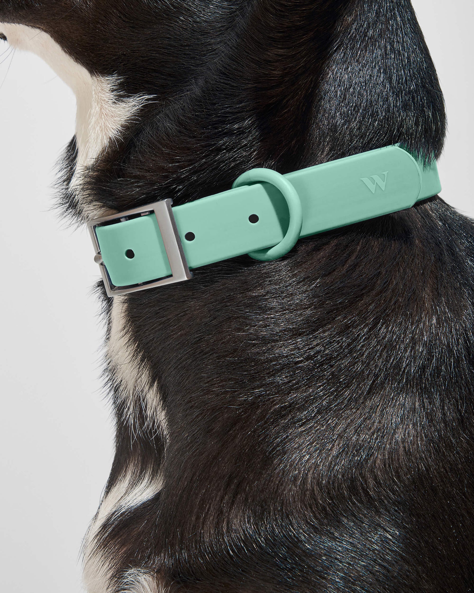 Waterproof Dog Collar