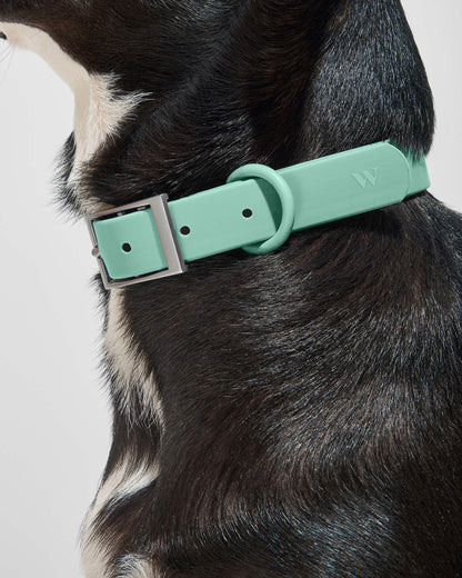Waterproof Dog Collar