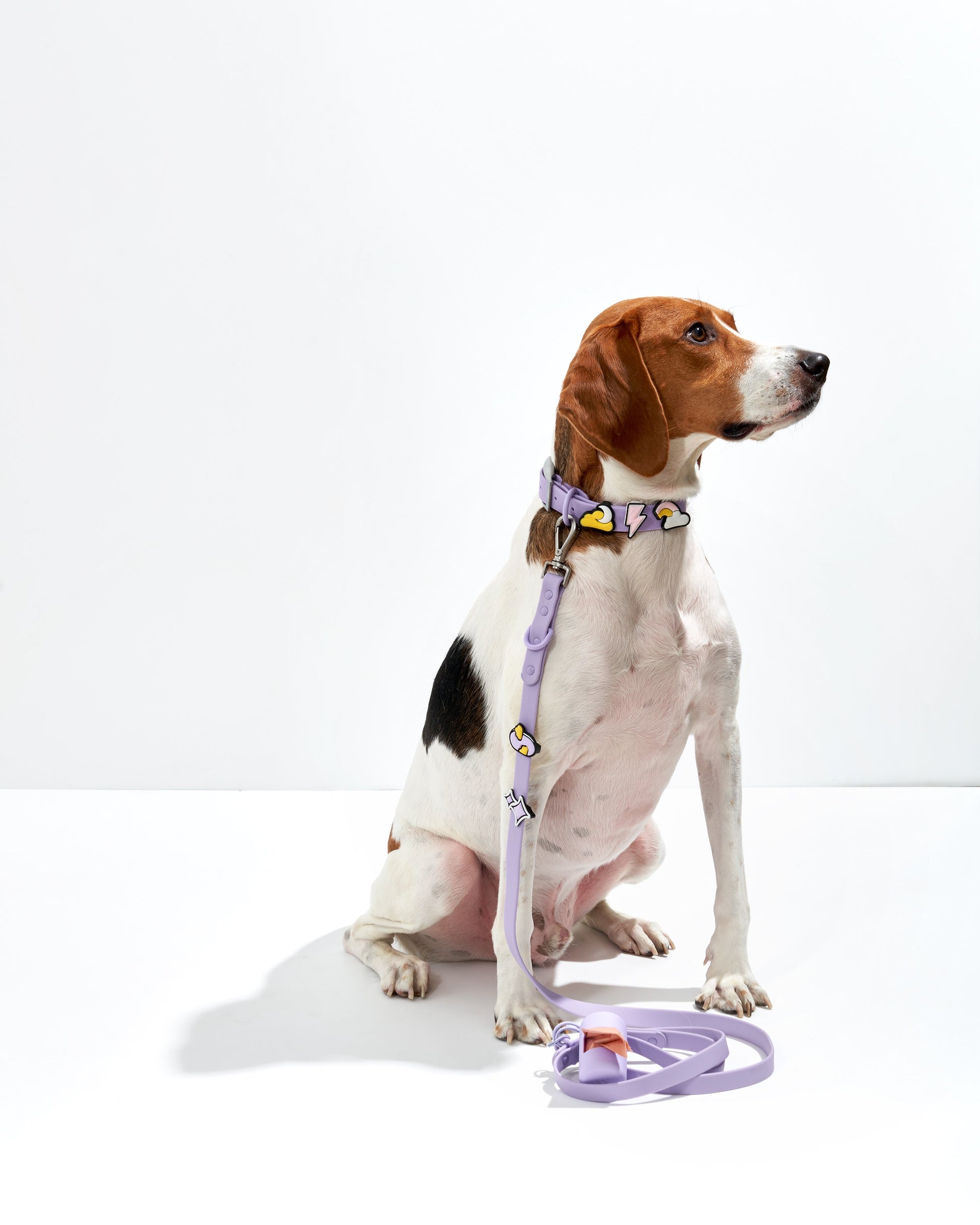 Dog Flair Pack