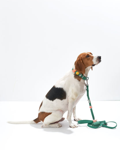 Dog Flair Pack
