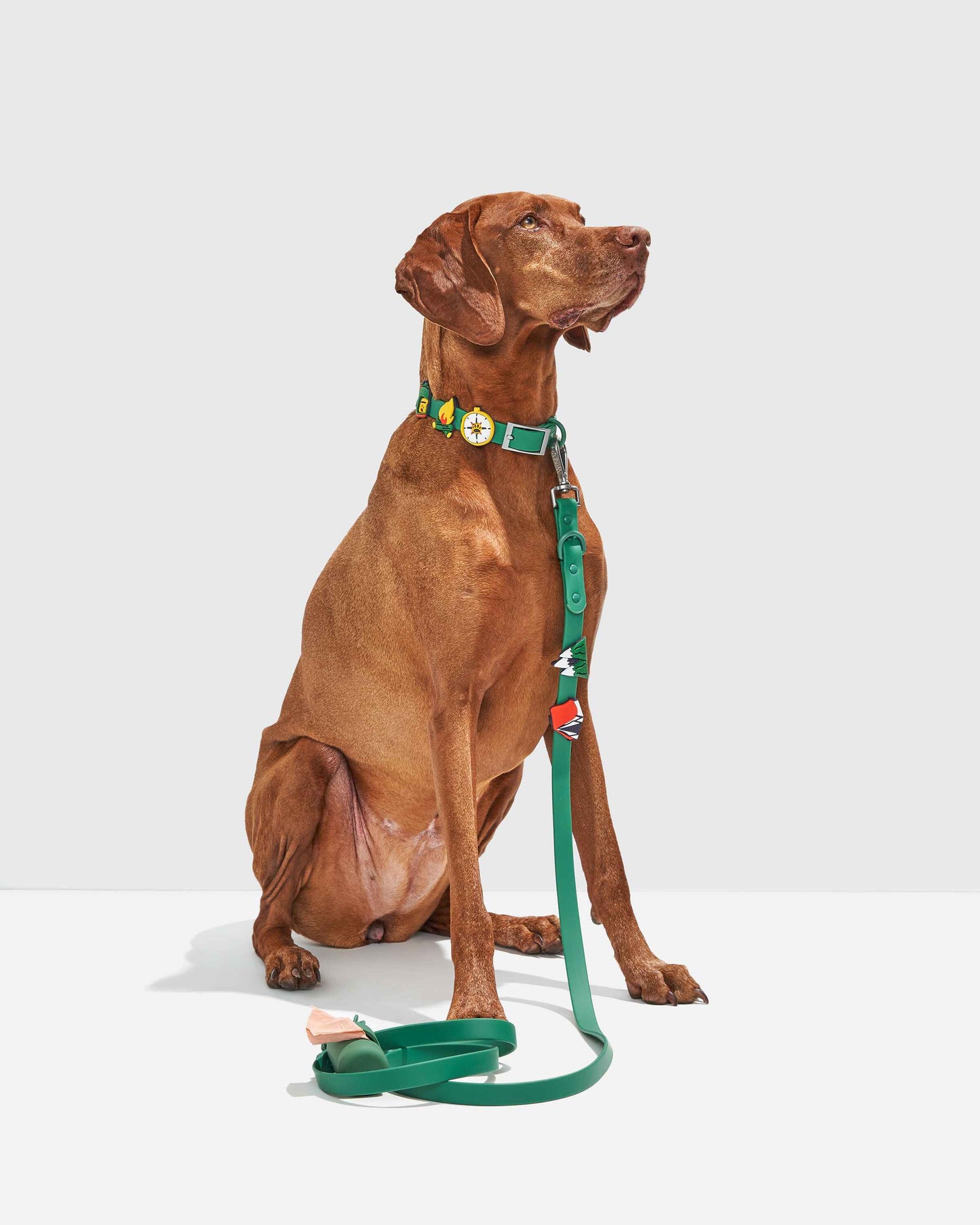 Dog Flair Pack