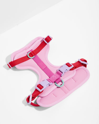 Cushioned Dog Harness